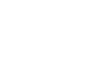 mERCury logo NCP network for ERC programme